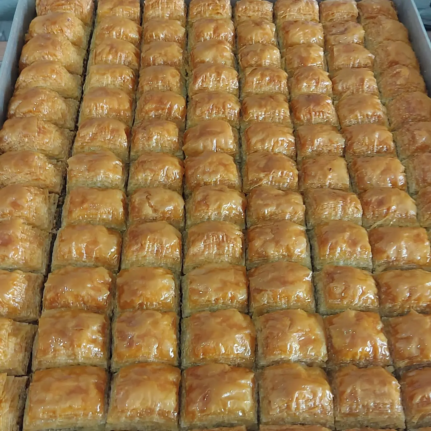 Neşeli Kurabiye fotoğraf 3