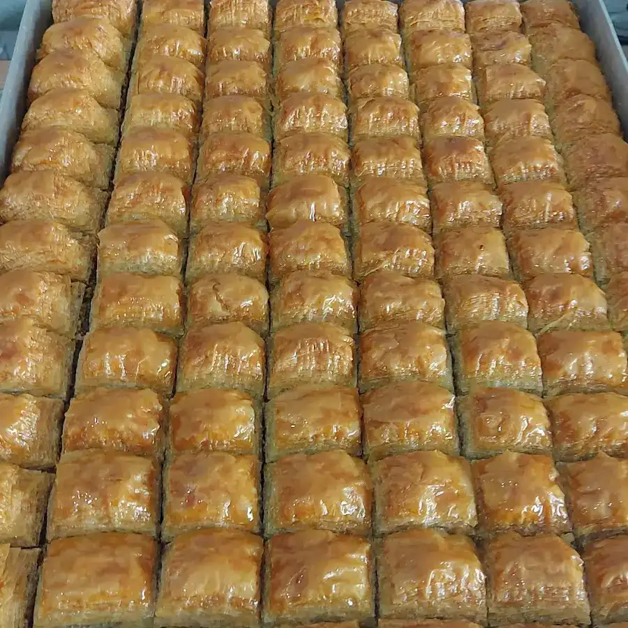 Neşeli Kurabiye fotoğraf 3