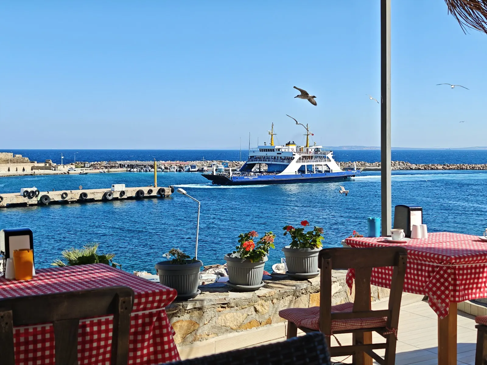 Aspava Otel fotoğraf 3
