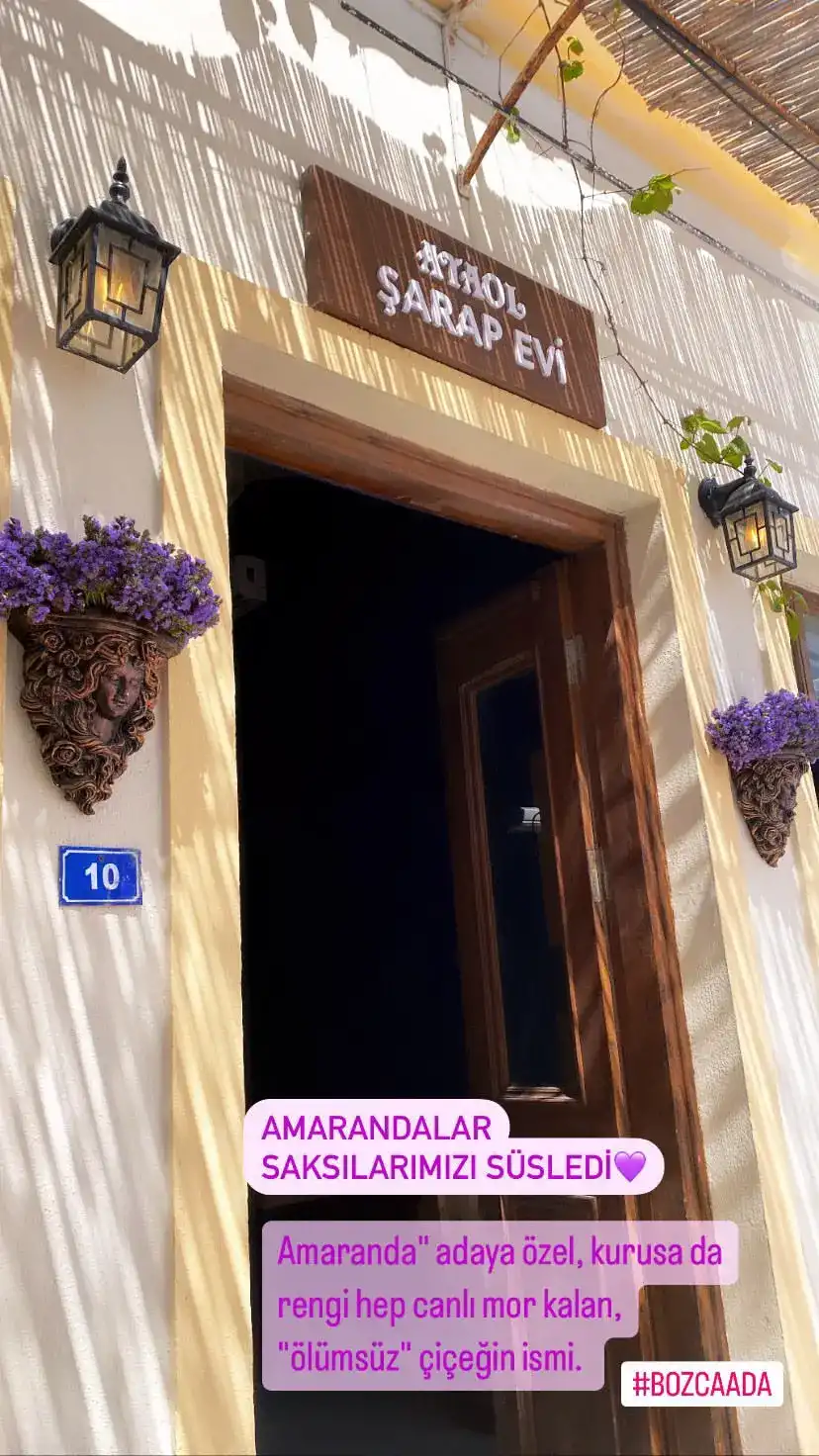 Ataol Şarap Evi