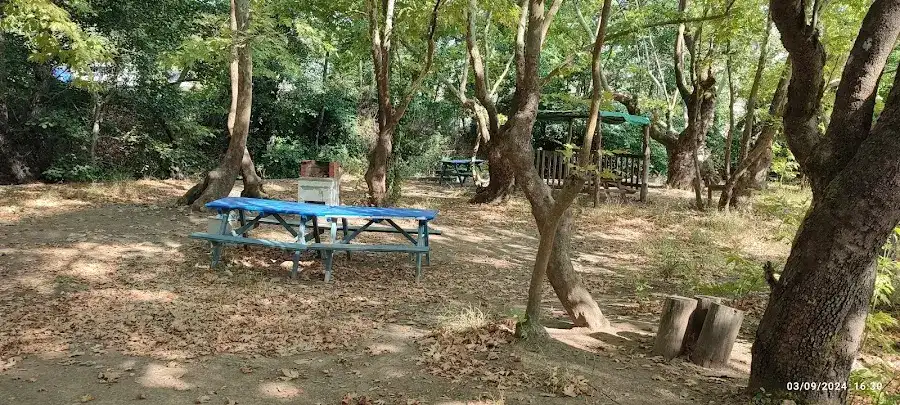 Bardakçılar Dağ Kaplıcası fotoğraf 3