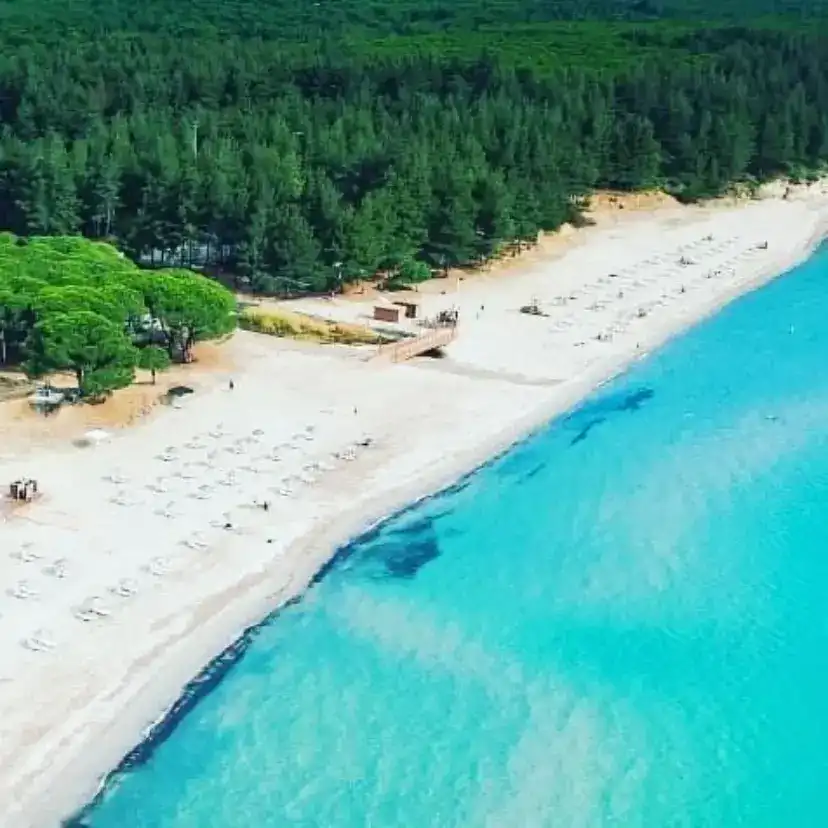 Başarır Hotel fotoğraf 3