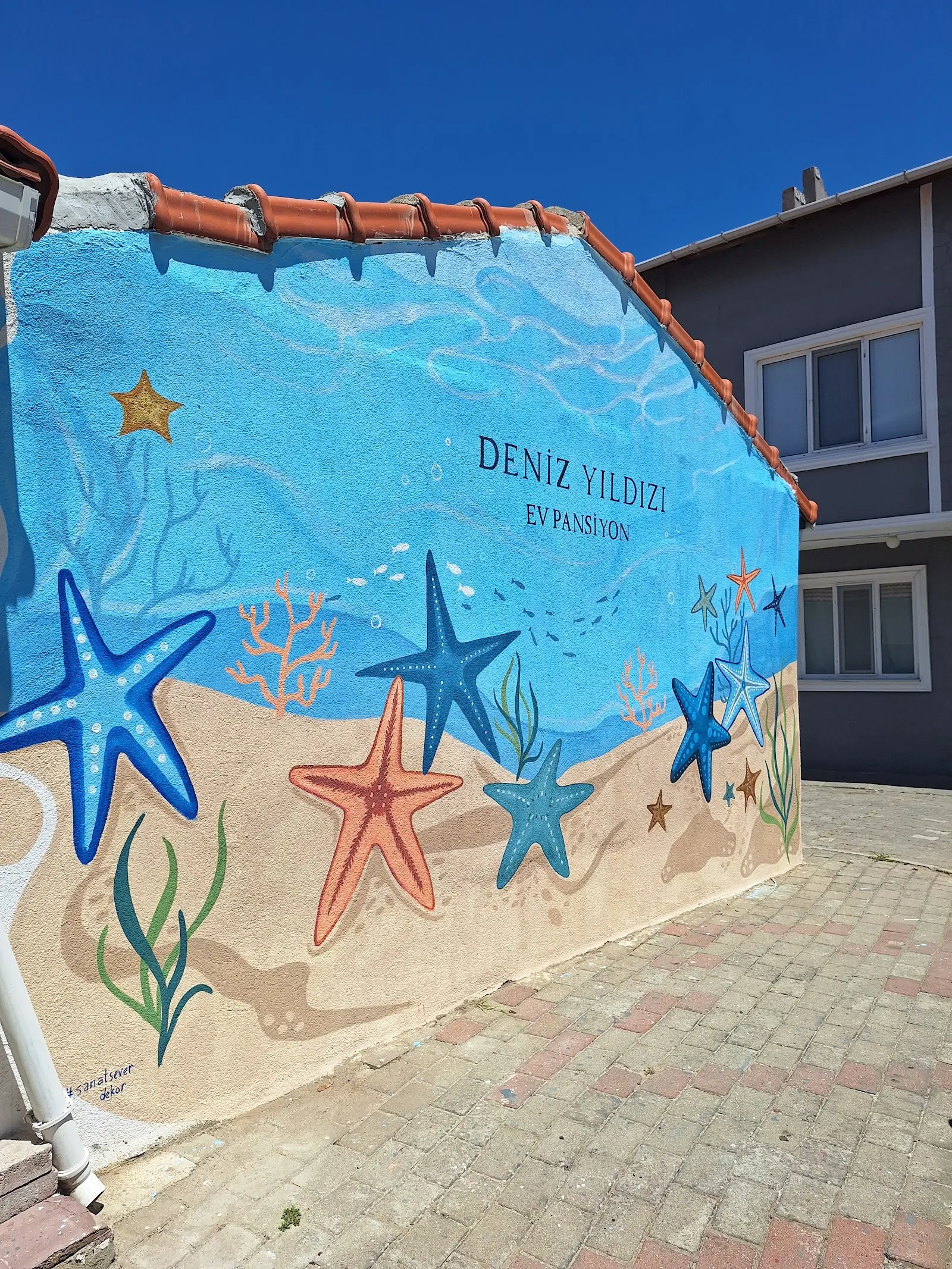 Deniz yıldızı ev pansiyonu