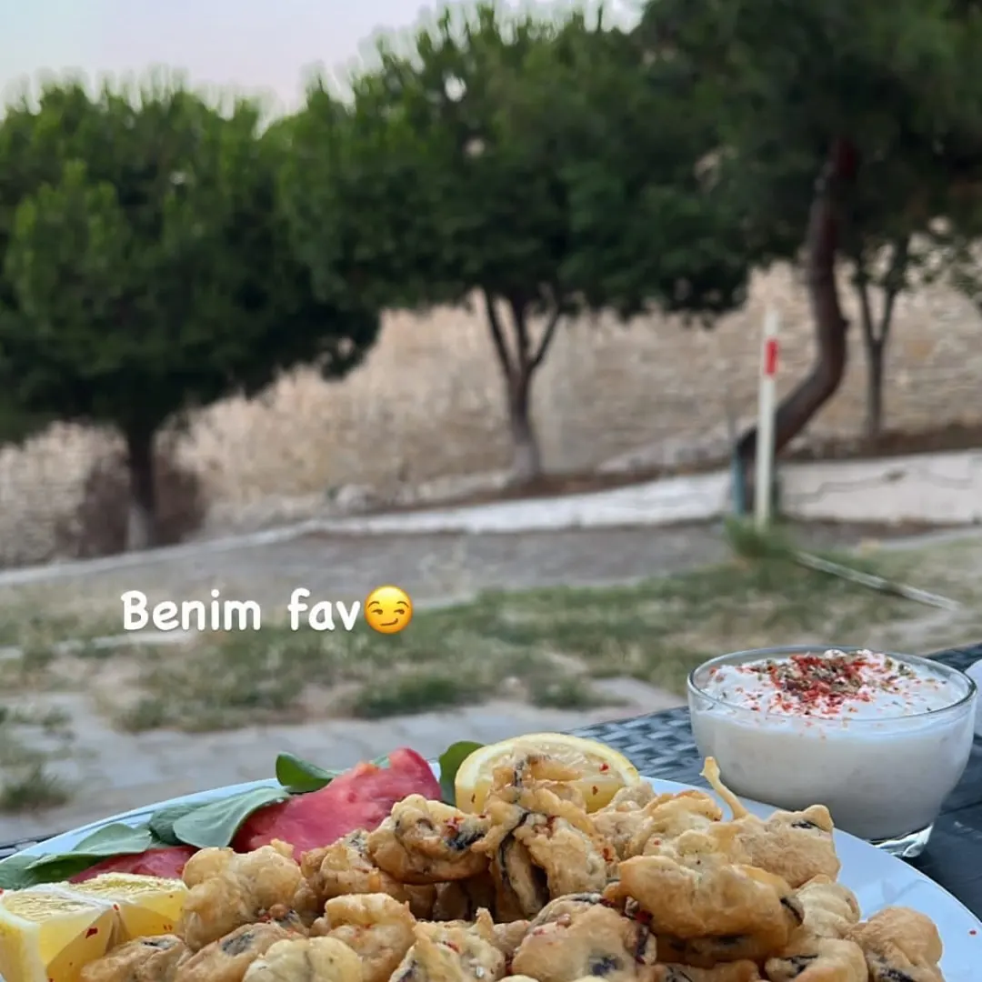 Kilitbahir Alesta Balık Evi fotoğraf 2