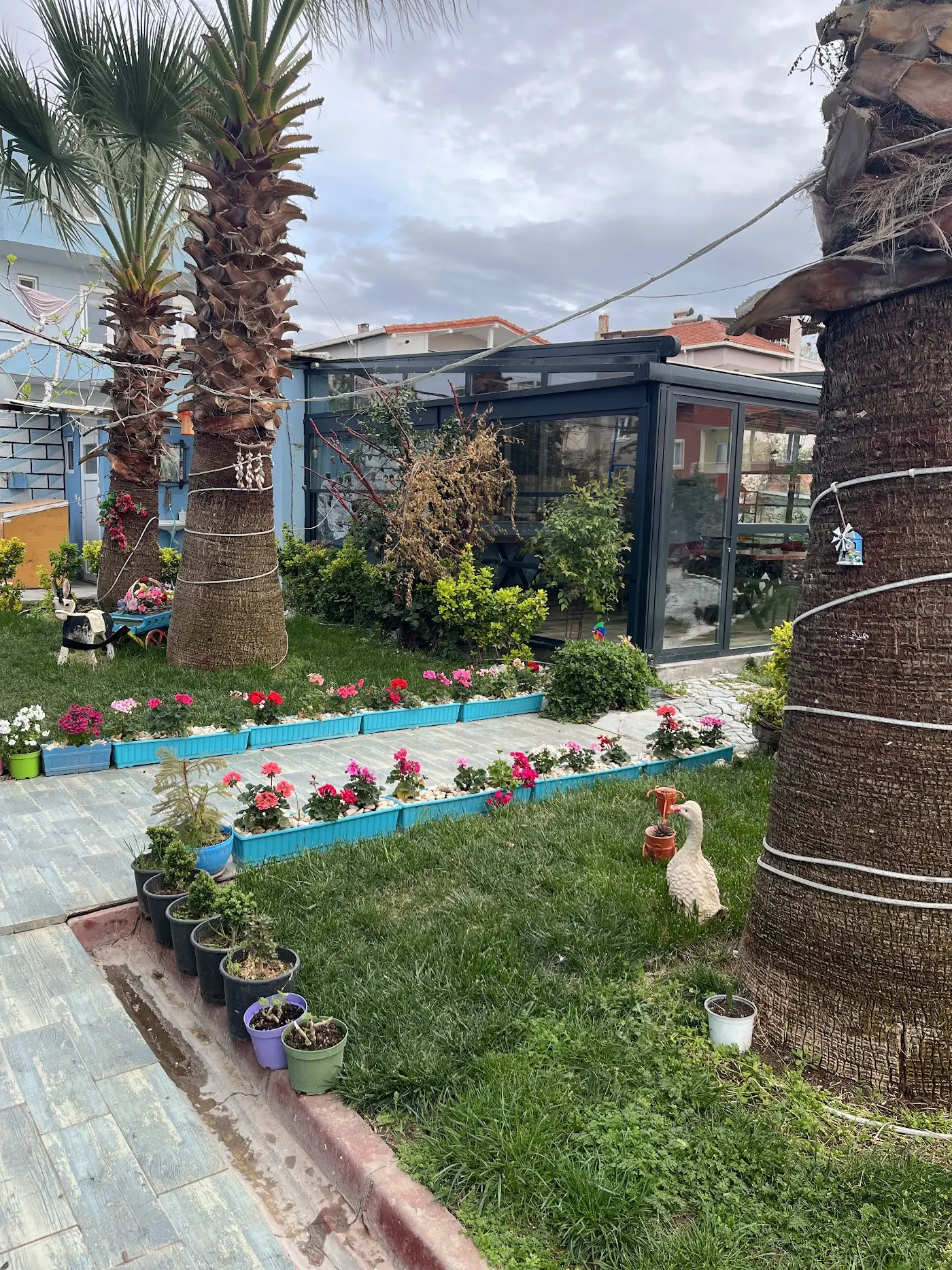 Geyikli Gelincik Otel