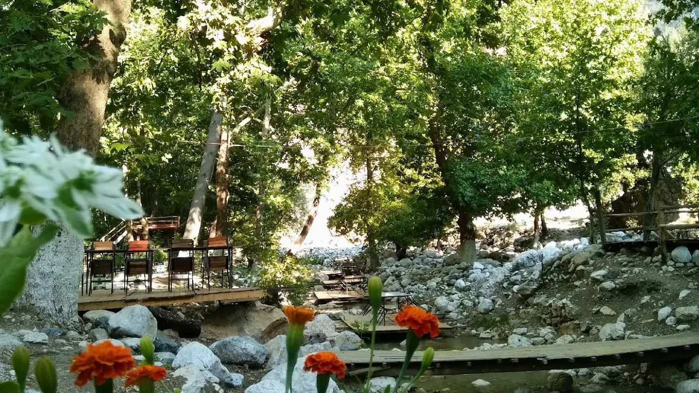 Zerenler Alabalık Restoran fotoğraf 3