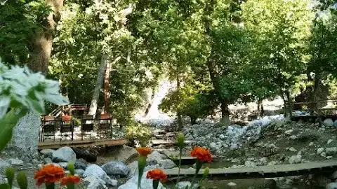 Zerenler Alabalık Restoran fotoğraf 3