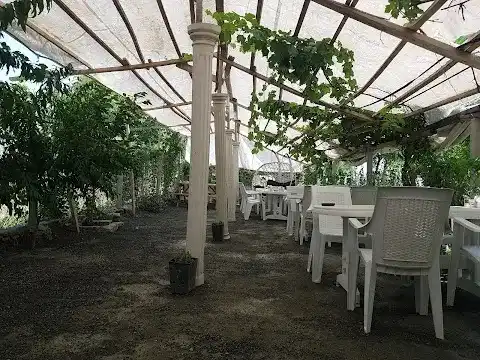 Ali'nin Yeri Aile Çay Bahçesi ve Restaurant