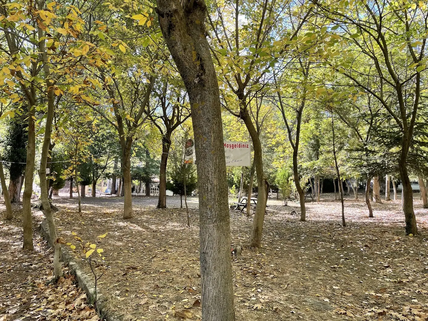 Kaptanin Yeri buldan vakif mesire alani Kaptan fotoğraf 2