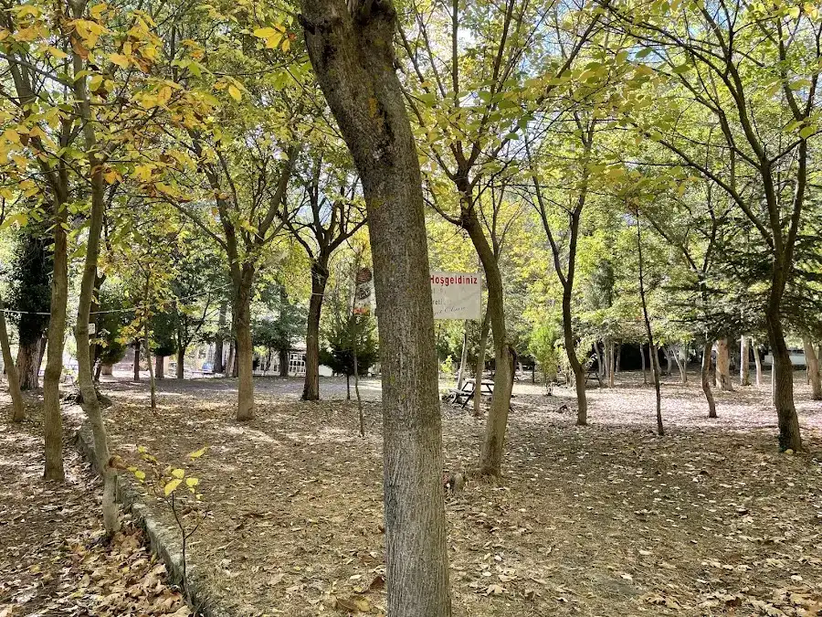 Kaptanin Yeri buldan vakif mesire alani Kaptan fotoğraf 2