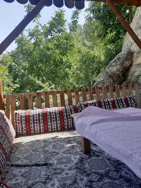 Mınak Doğal su alabalık