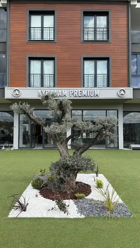Aybalam Premium Tatlı&Kahve fotoğraf 3
