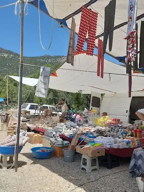 Işıklı gölü Nilüfer çiçekleri tekne turları,BALIK-PİZZA KAFE RESTORAN ve doğal park
