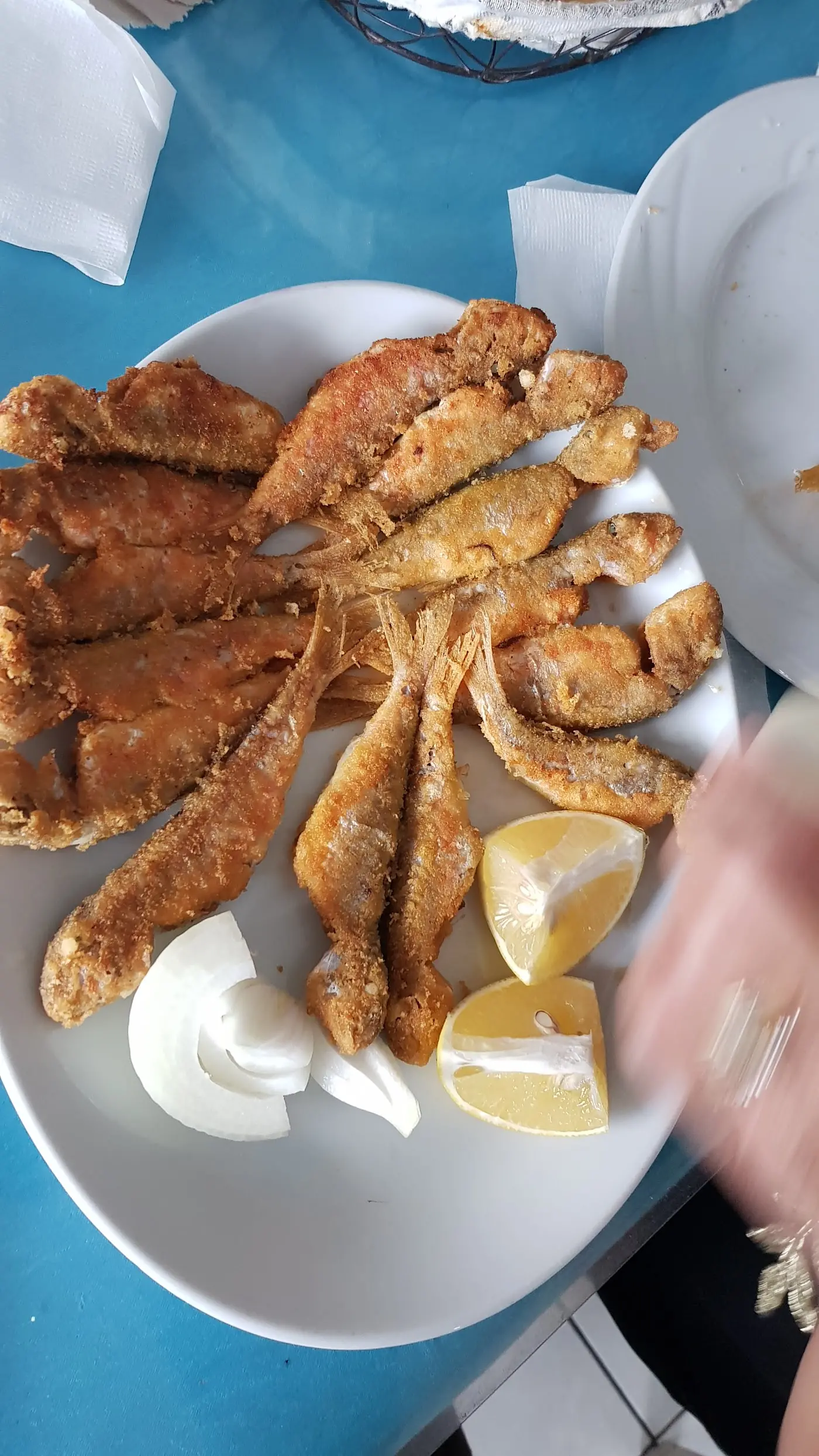 Güney Balık Evi fotoğraf 2