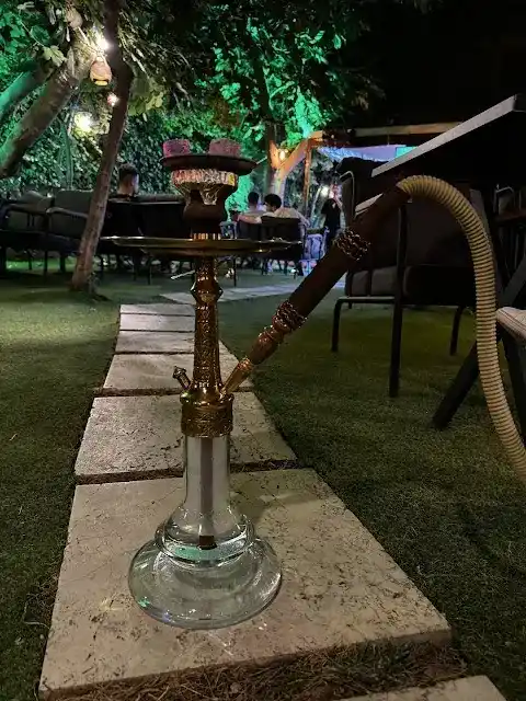 dedikodutime fotoğraf 3