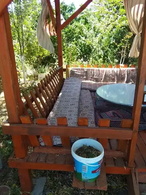 Hayati Muhtarın Yeri