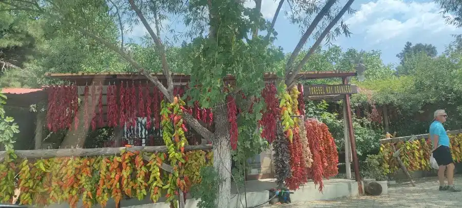 Hayati Muhtarın Yeri fotoğraf 3
