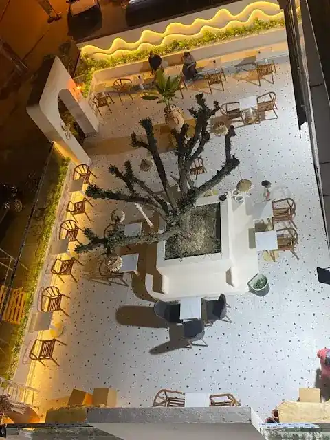 Moi coffee co. fotoğraf 3