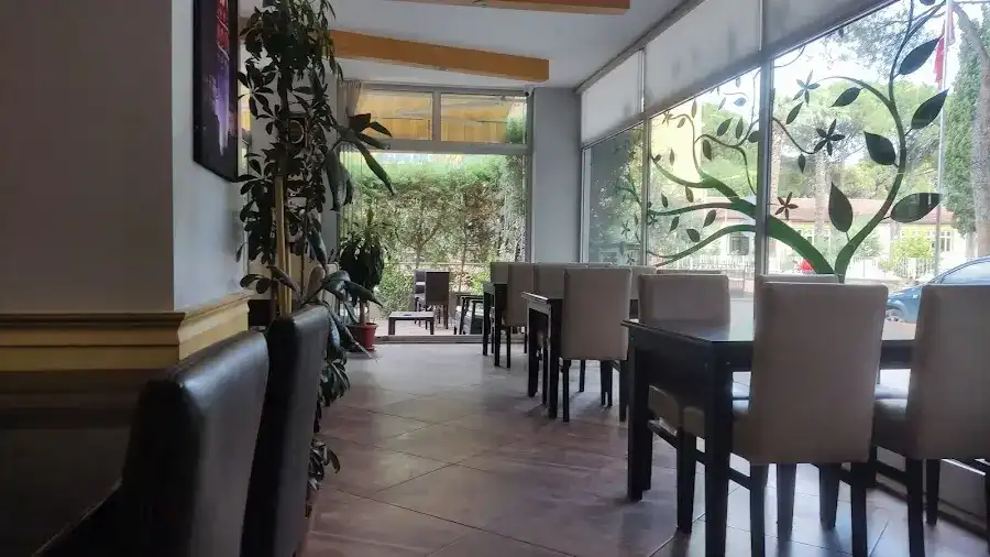 Sarmaşık Cafe fotoğraf 3