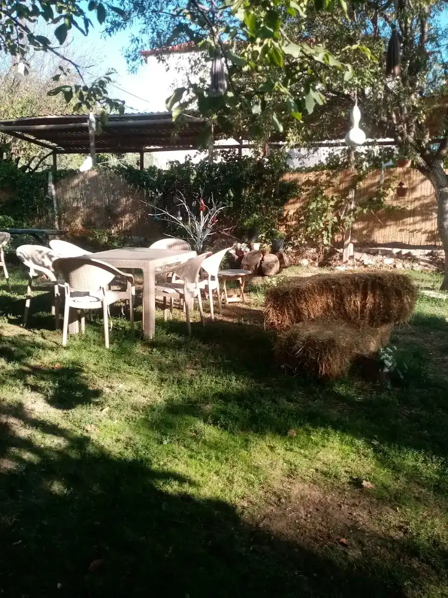 Serince Bahçe cafe&kahvaltı fotoğraf 3