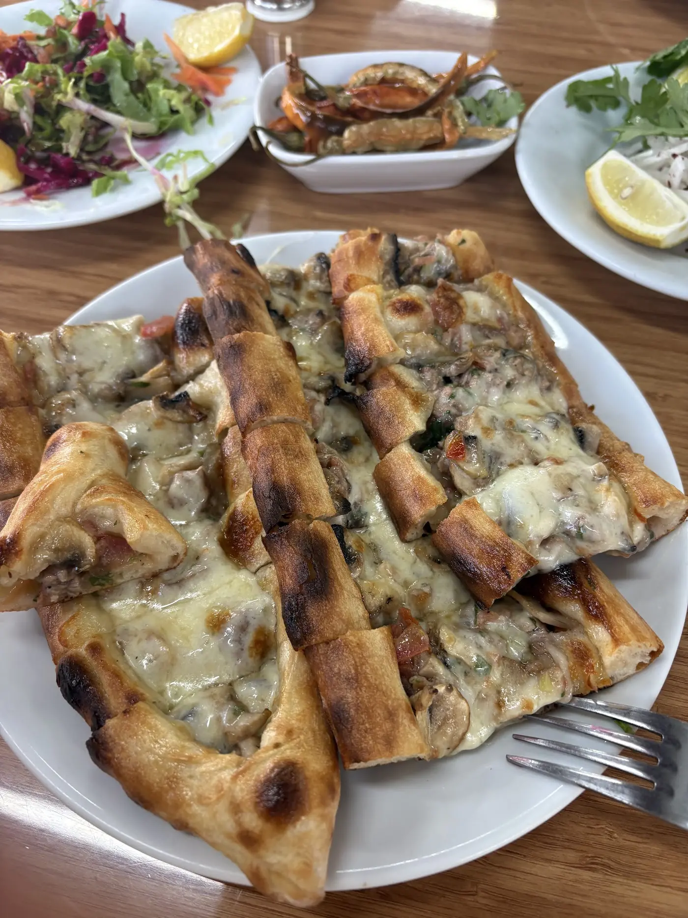 bidünya pide pizza lahmacun fotoğraf 2
