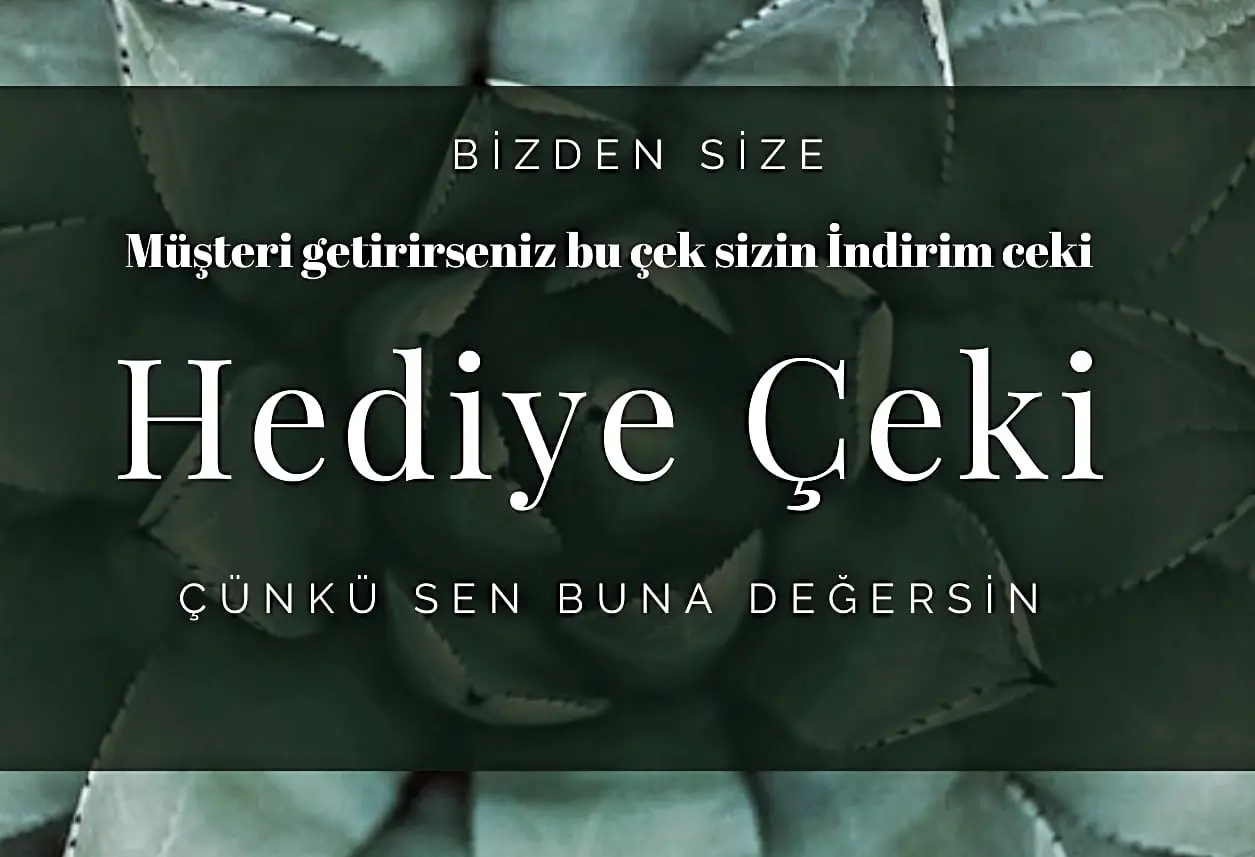 Diyarbakır spa ve masaj salonu fotoğraf 3