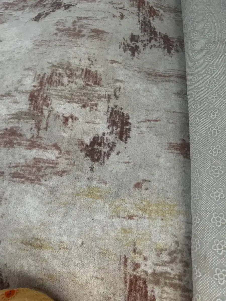 Dicle Halı Yıkama Fabrikası