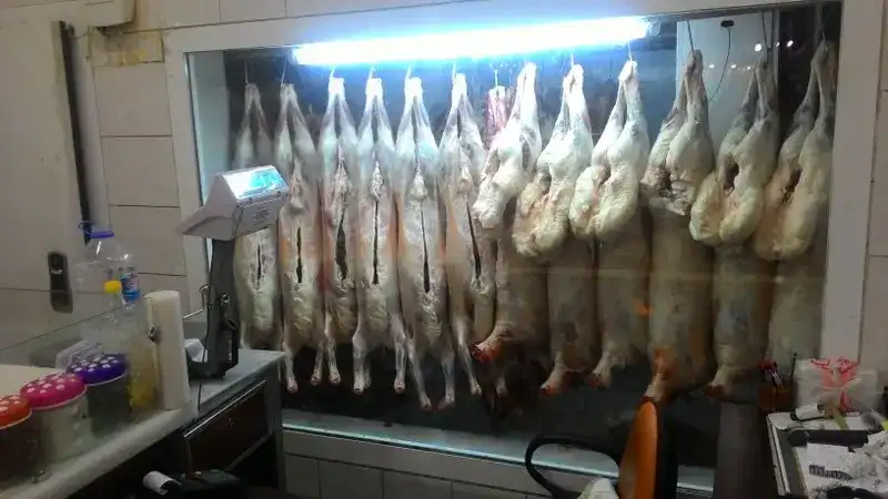 Hazro Kasabı Yenişehir Diyarbakır fotoğraf 2