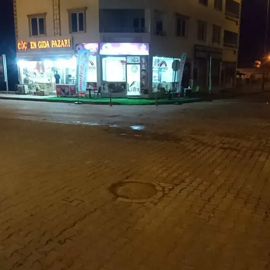 marfedo dondurna fotoğraf 3
