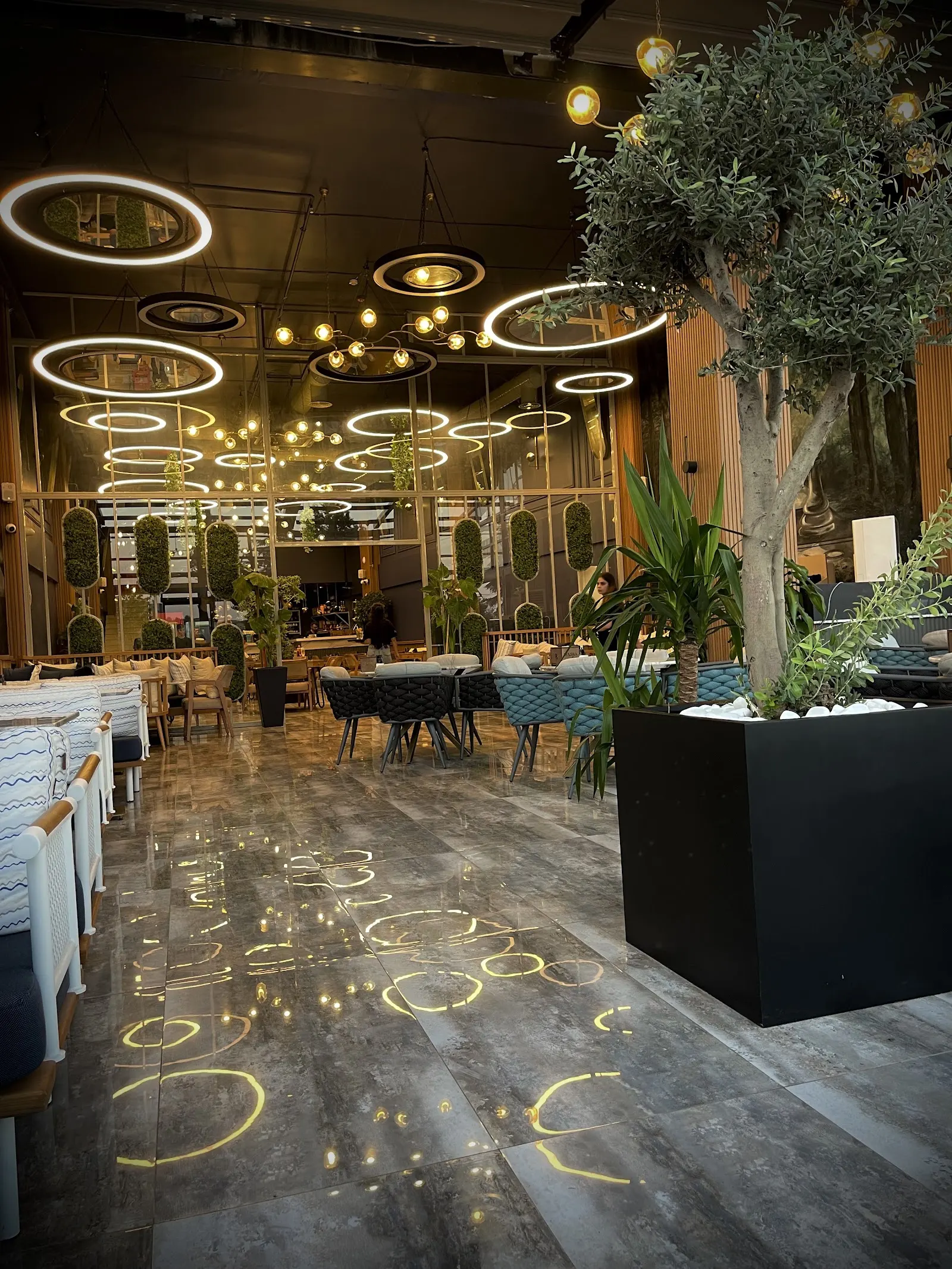 Masha Lounge fotoğraf 2