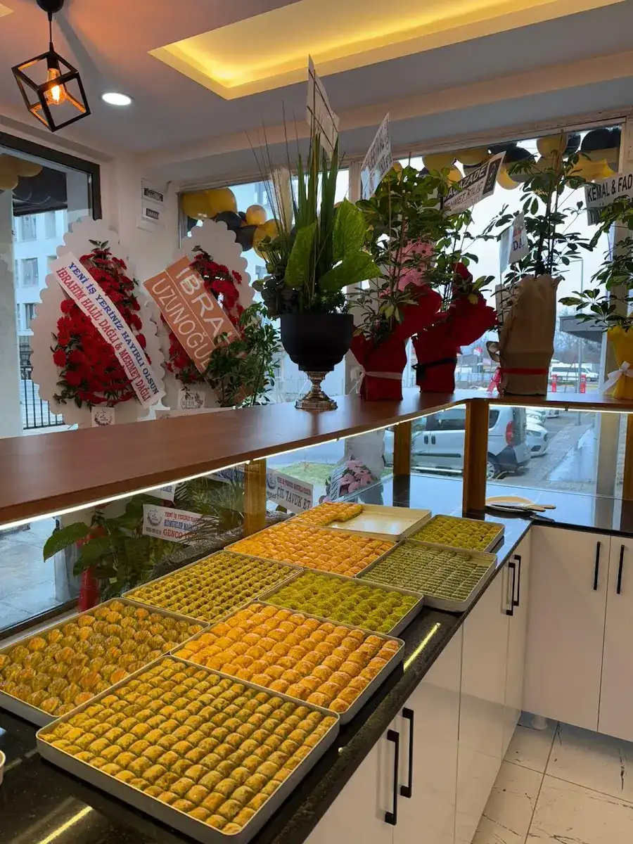 Dağlıoğlu baklavaları fotoğraf 2