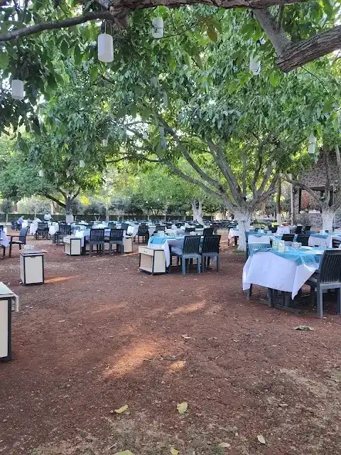 Ney Restaurant fotoğraf 3