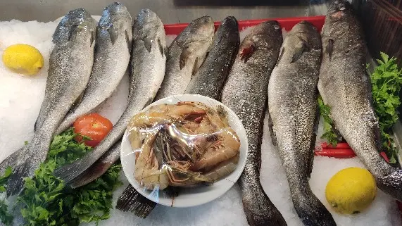 Yelken Balik Evi fotoğraf 2