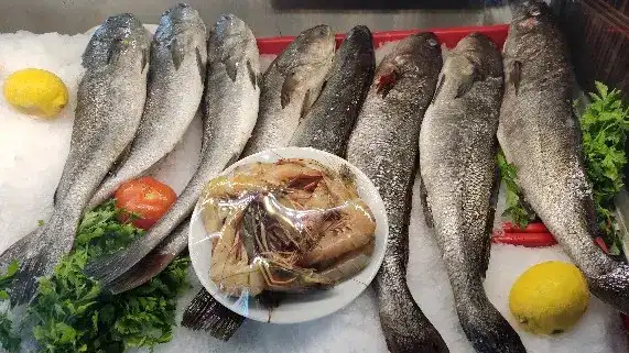 Yelken Balik Evi fotoğraf 2