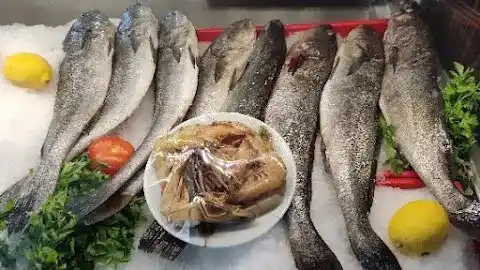 Yelken Balik Evi fotoğraf 2