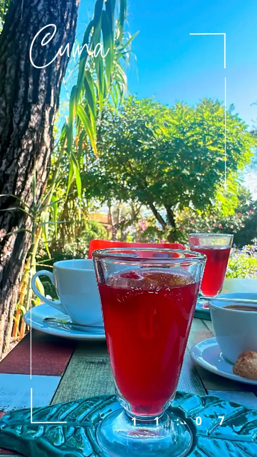 Bahçede Sinek Kafe fotoğraf 3