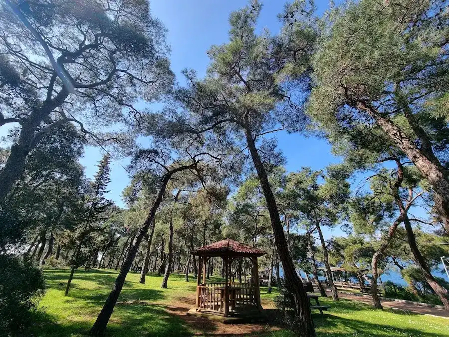 Dilburnu Tabiat Parkı
