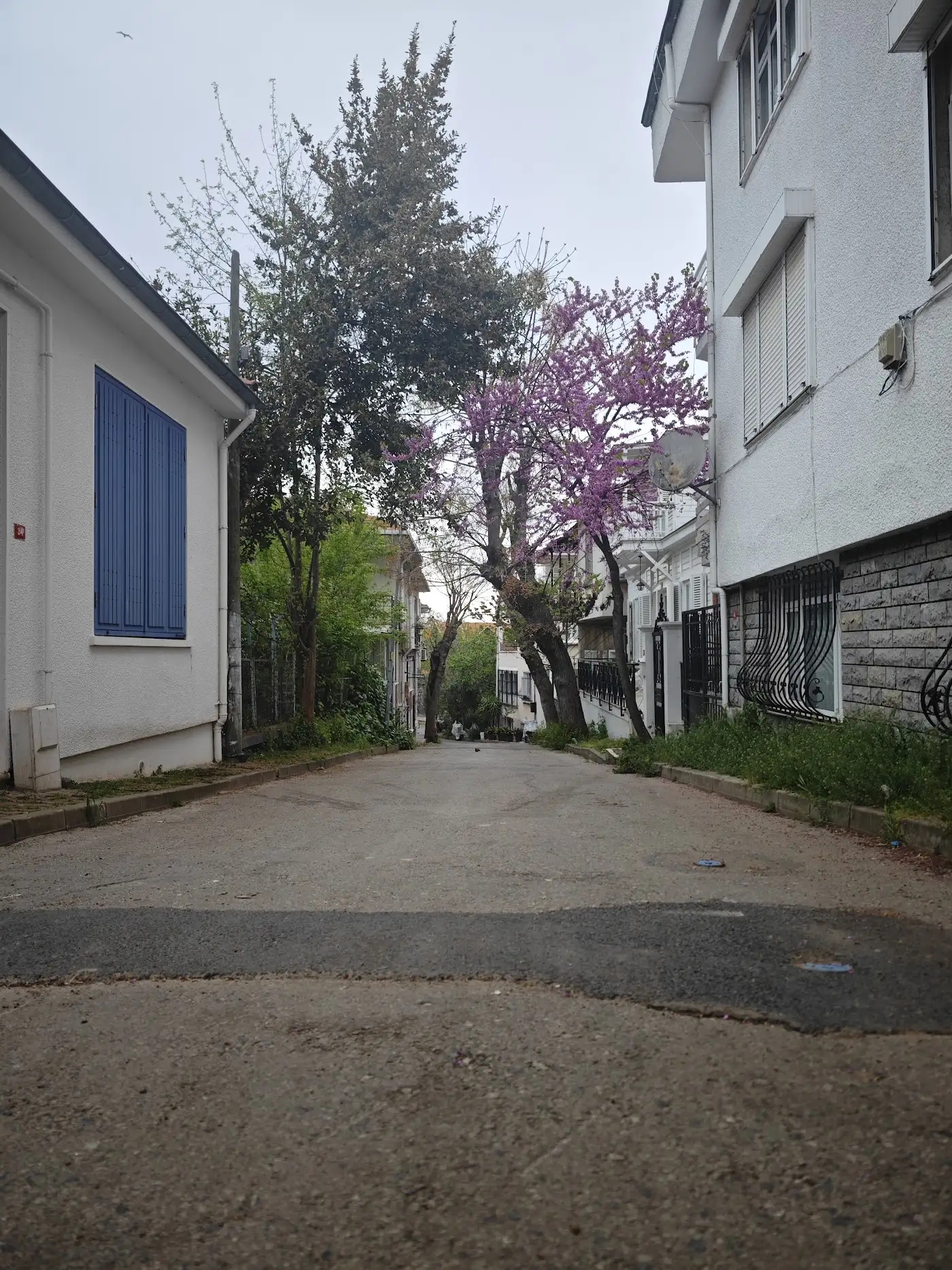 HAYAL PANSİYON BÜYÜKADA