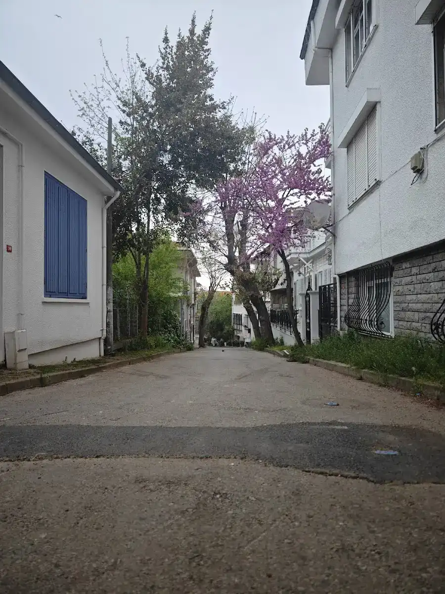 HAYAL PANSİYON BÜYÜKADA