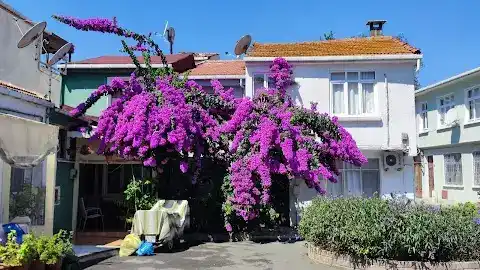 Heybeliada Yalı Butik Pansiyon fotoğraf 3