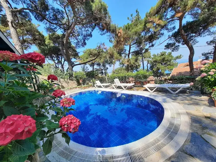 Kösk Orman Hotel fotoğraf 3