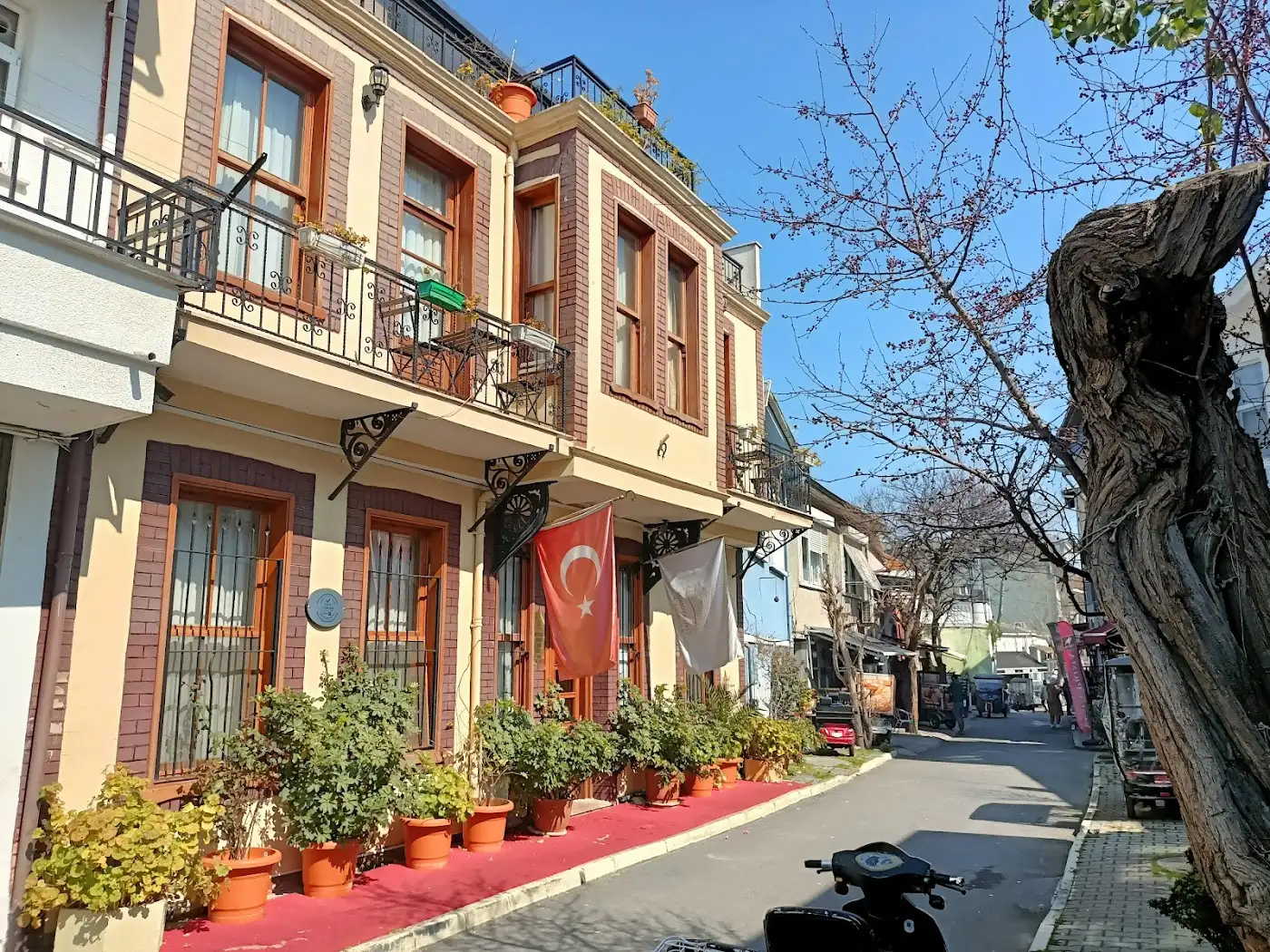 Mimoza Butik Otel Büyükada