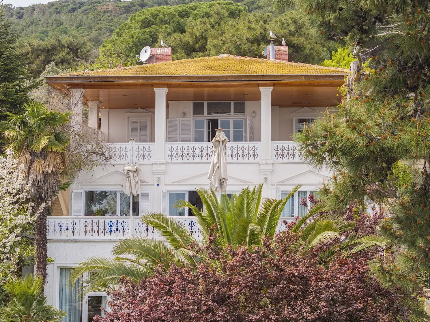 Palais Büyükada