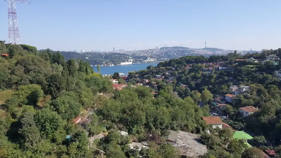 Vadi Arnavutköy fotoğraf 3
