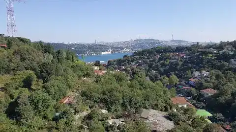 Vadi Arnavutköy fotoğraf 3