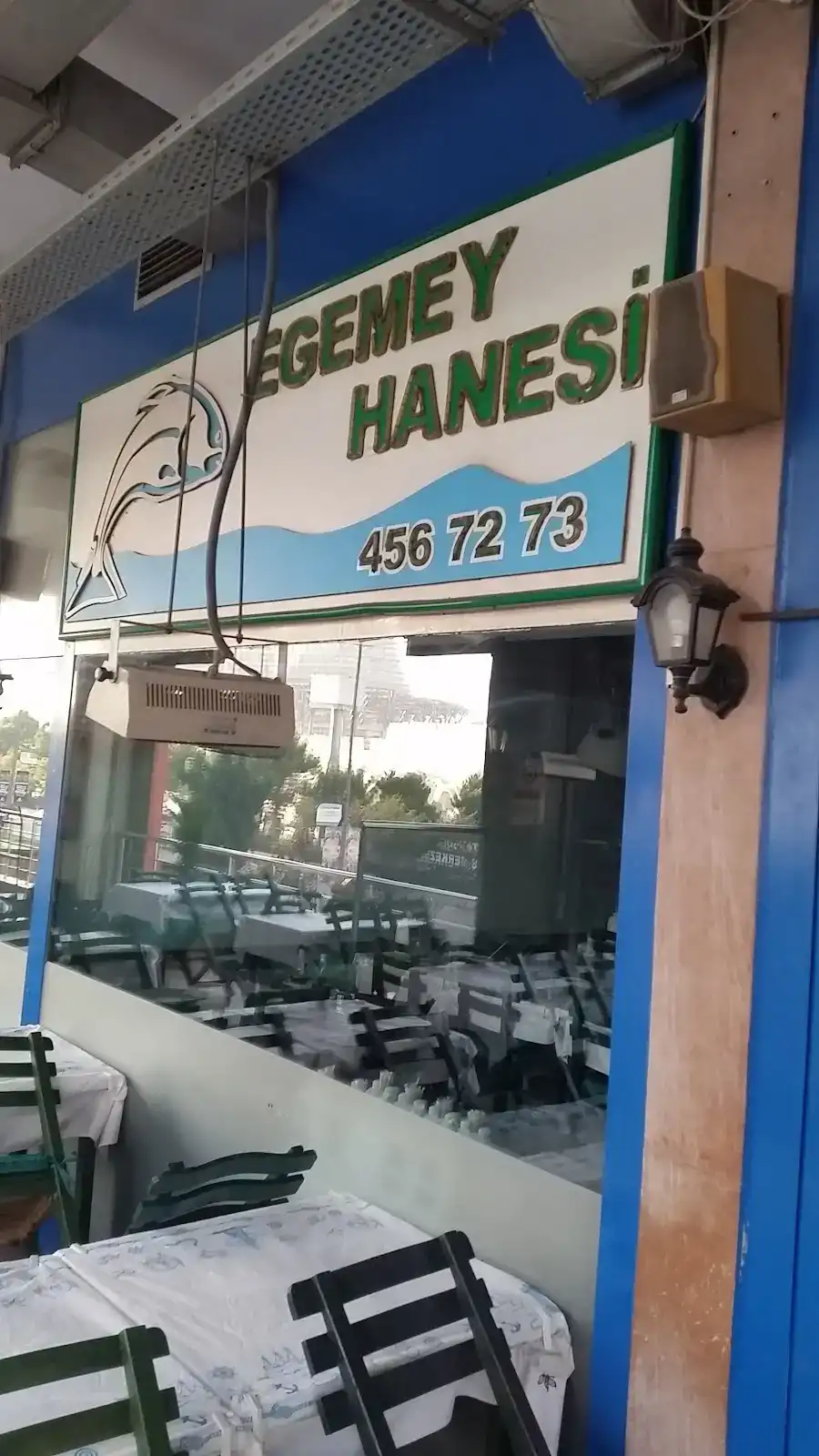 Egemeyhanesi fotoğraf 3