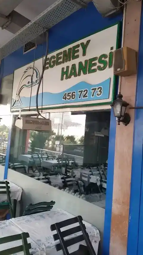 Egemeyhanesi fotoğraf 3