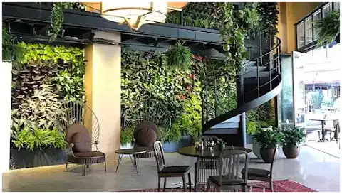 The House Cafe