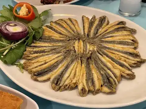 Zara Zargana Balık fotoğraf 3