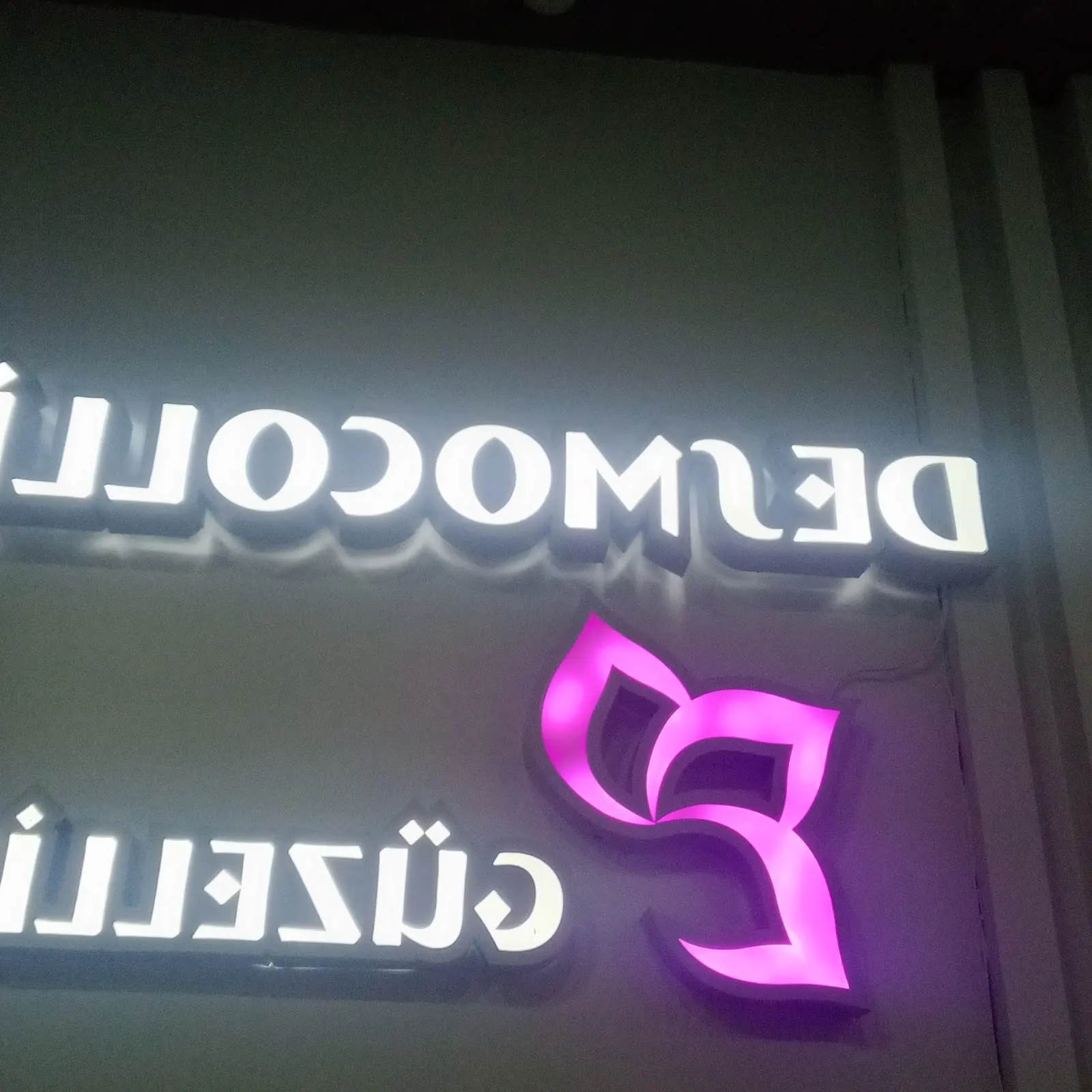 Desmocollin Güzellik fotoğraf 2